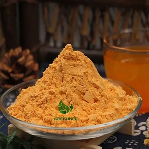 پودر گجی
