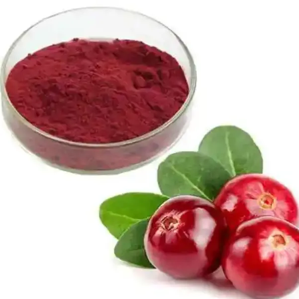 آنتوسیانیدین عصاره زغال اخته خالص