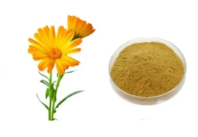 عصاره Calendula officinalis