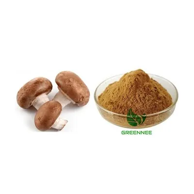 پودر قارچ Shititake